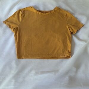 Wild Fable - Target - Cropped Form Fitting Tee Size M